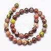 Natural Plum Blossom Jasper Beads Strands G-A163-02-6mm-2