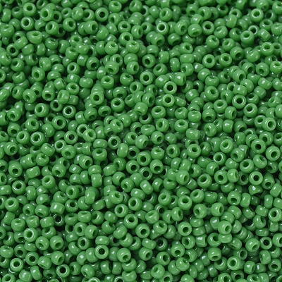 MIYUKI Round Rocailles Beads X-SEED-G007-RR0411-1