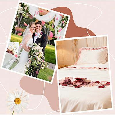 300Pcs Polyester Artificial Rose Flower Petals FIND-CN0002-43B-1