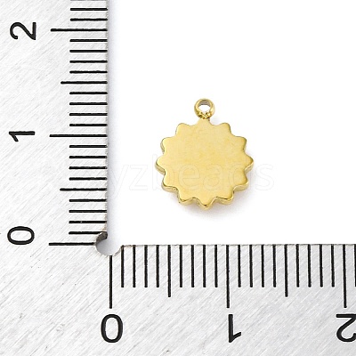 304 Stainless Steel Charms STAS-S163-08A-G-1