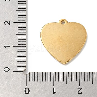 Ion Plating(IP) 304 Stainless Steel Pendants STAS-Q334-23G-1