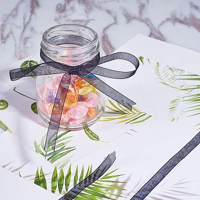 Organza Ribbon ORIB-BC0001-02G-1