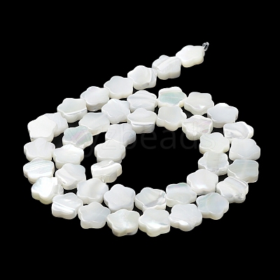 Natural Trochus Shell Beads Strands X-BSHE-P033-07-1