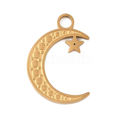304 Stainless Steel Pendants STAS-P377-02G-1