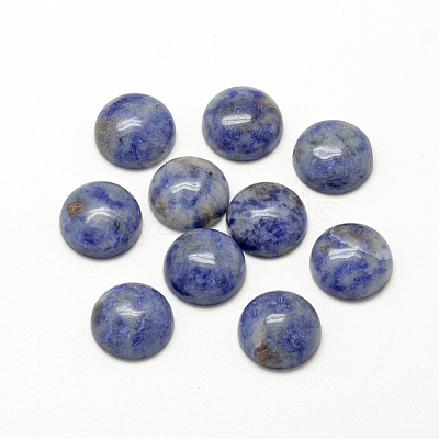 Natural Blue Spot Jasper Cabochons X-G-R416-8mm-45-1