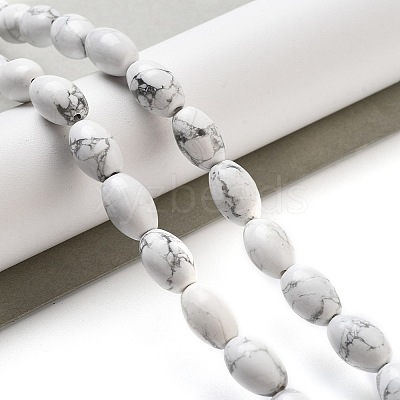 Natural Howlite Beads Strands G-B106-B25-01-1