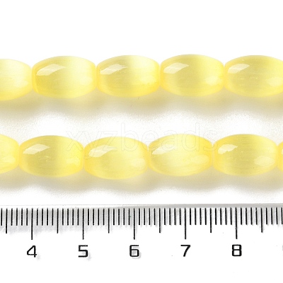 Macaron Color Natural Selenite Beads Strands G-B102-A01-03-1