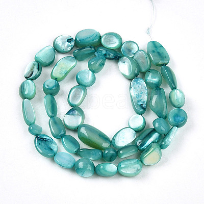 Natural White Shell Beads Strands SHEL-N036-21C-1