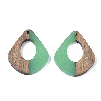 Resin & Wood Pendants X-RESI-S358-06F-1