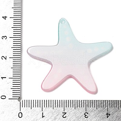 Acrylic Pendants FIND-Q105-06B-03-1