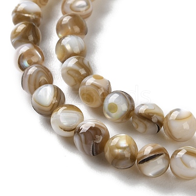 Natural Freshwater Shell Beads Strands SSHEL-B002-15-1