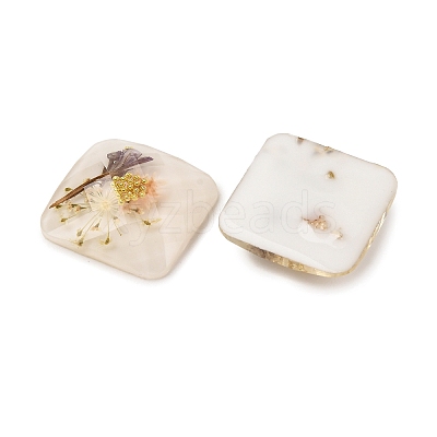 Transparent Resin Cabochons RESI-K033-12B-1