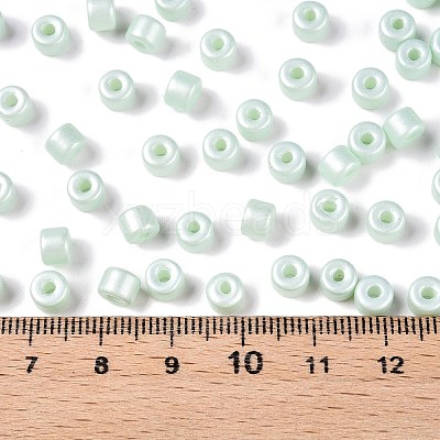 Baking Paint Pearlized Glass Seed Beads SEED-T008-03P-1