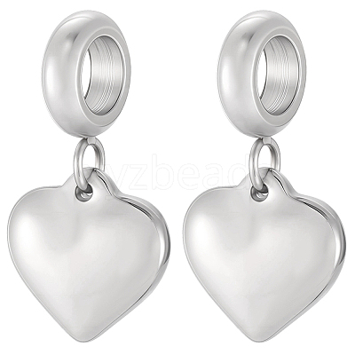 5Pcs 304 Stainless Steel European Dangle Charms STAS-BBC0007-89-1