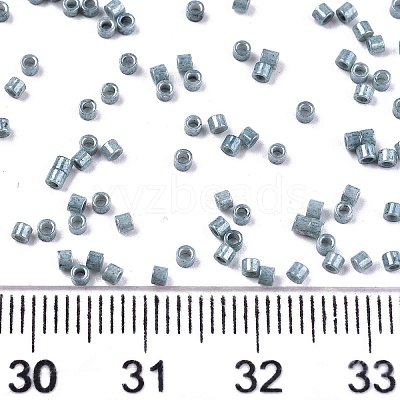FGB 11/0 Grade A Baking Paint Glass Seed Beads X-SEED-S030-1040-1