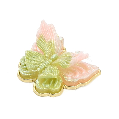 Alloy & Resin & Glitter Powder Pendants RE-CBA4A70-01B-1