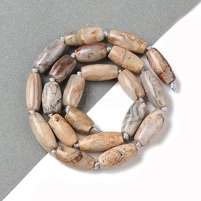 Natural Mexican Lace Agate Beads Strands G-NH0010-I03-01-1