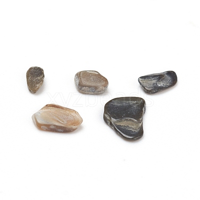 Natural Freshwater Shell Beads BSHE-I011-03A-1