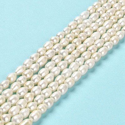 Natural Cultured Freshwater Pearl Beads Strands PEAR-E016-169-1