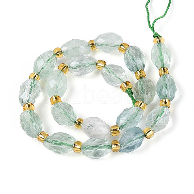 Natural Green Fluorite Beads Strands G-N342-53-8x6-12-1