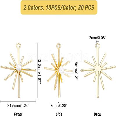 20Pcs 2 Colors Alloy Pendants FIND-FH0003-49-1