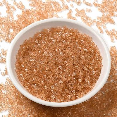 Transparent Glass Seed Beads SEED-S042-21B-05-1