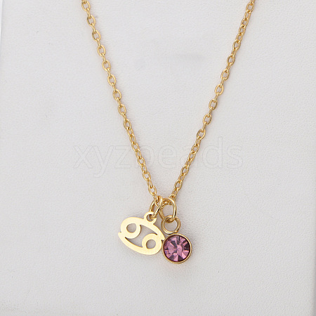 304 Stainless Steel Amethyst Rhinestone Birth Stone Constellation Pendant Necklaces FS-WG76580-06-1
