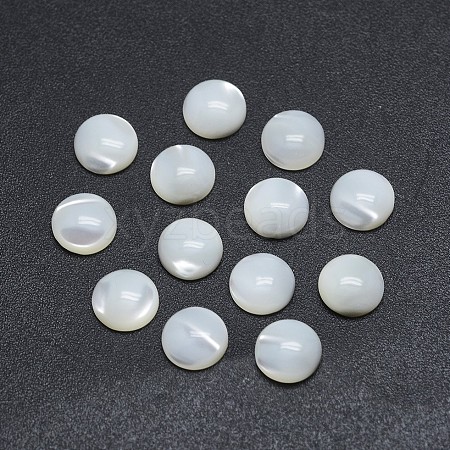 Shell Cabochons X-SSHEL-P015-61-12mm-1