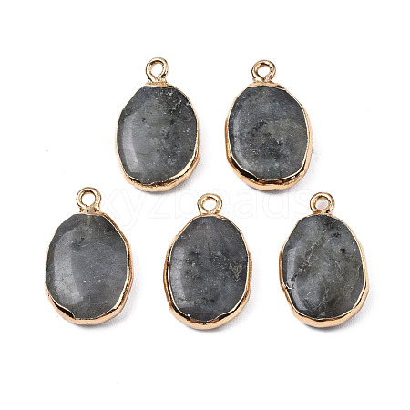 Natural Labradorite Pendants G-N326-130-05-1