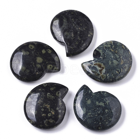 Natural Kambaba Jasper Beads G-R464-009A-1