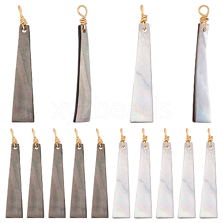 20Pcs Natural Black Lip Shell Pendants PALLOY-WR00017-1