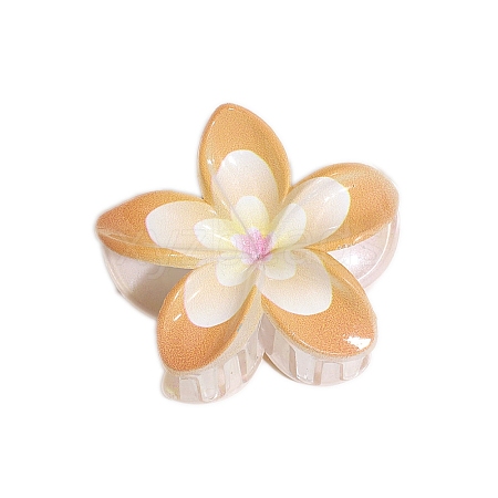 Resin Claw Hair Clips PW-WGCCCD9-03-1