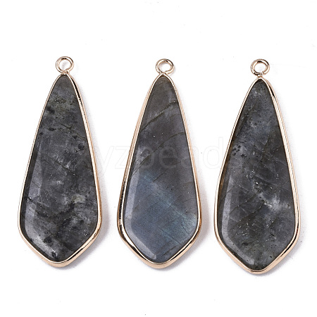 Natural Labradorite Pendants G-S359-108A-1