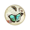 Butterfly Printed Glass Half Round/Dome Cabochons GGLA-N004-14mm-C-2