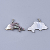 Black Lip Shell Pendants SSHEL-S251-22-2