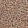 12/0 Glass Seed Beads SEED-A017-2mm-1107-3