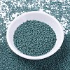 MIYUKI Delica Beads SEED-J020-DB2131-2