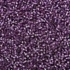 MIYUKI Delica Beads SEED-X0054-DB2169-3