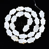 Natural Freshwater Shell Beads Strands SHEL-S278-02-A01-2