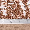 MIYUKI Delica Beads SEED-MY11-DB1736-4