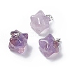 Natural Amethyst Pendants G-C002-02H-1