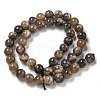 Natural Black Moonstone Beads Strands G-Q183-A01-01-3