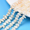 Natural Cultured Freshwater Pearl Beads Strands PEAR-N014-05-1