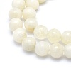 Natural Rainbow Moonstone Strands G-G764-45-10mm-3