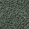 MIYUKI Round Rocailles Beads SEED-G007-RR0501-3