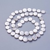 Shell Pearl Beads Strands X-BSHE-P030-01A-1