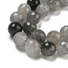 Natural Cloudy Quartz Beads Strands G-E571-A08-03-4