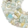 Natural Flower Amazonite Chips Beads Strands G-M205-12B-7