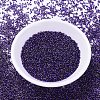 MIYUKI Delica Beads SEED-X0054-DB0609-2