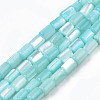 Natural Trochid Shell/Trochus Shell Beads Strands SHEL-N003-26-B09-1